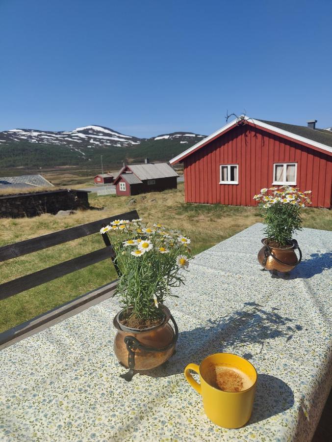 Kyrkjestolen B&B Tyinkrysset 外观 照片